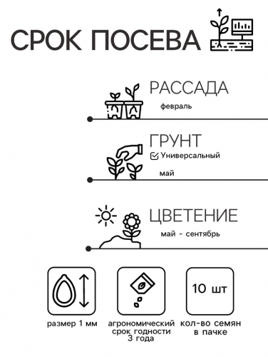 Семена цветов Колеус блюме 