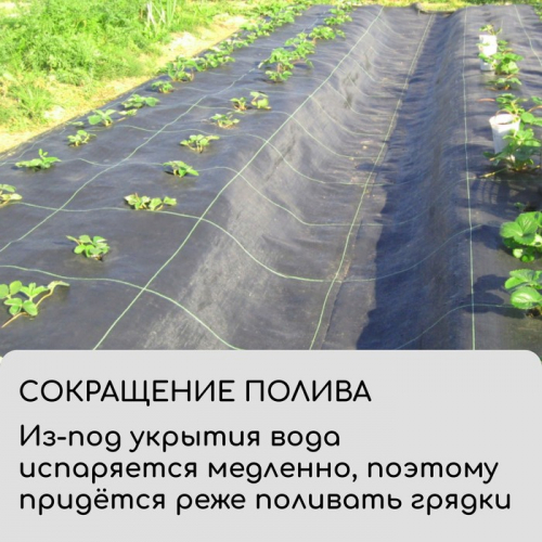 Агроткань застилочная, с разметкой, 10×1.6 м, плотность 100 г/м², полипропилен, Greengo, Эконом 50%