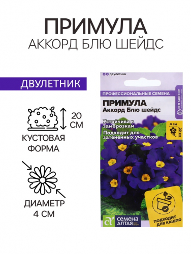 Семена Примула 