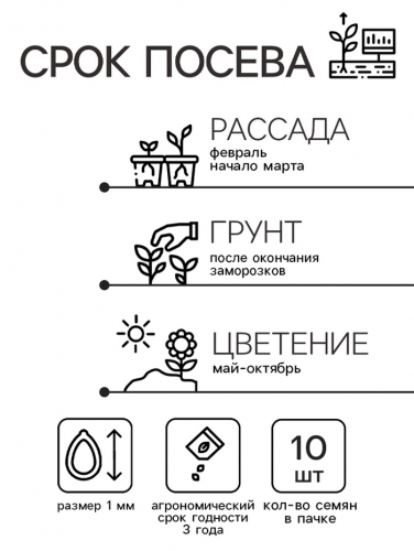 Семена цветов Катарантус Пацифика  