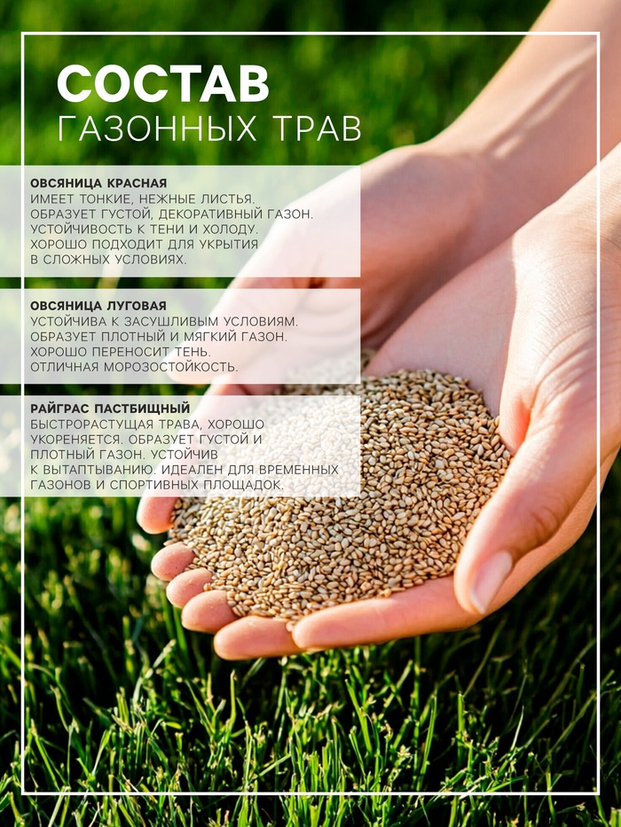 Газонная травосмесь Микс «Мой Выбор», травосмесь, 3 кг