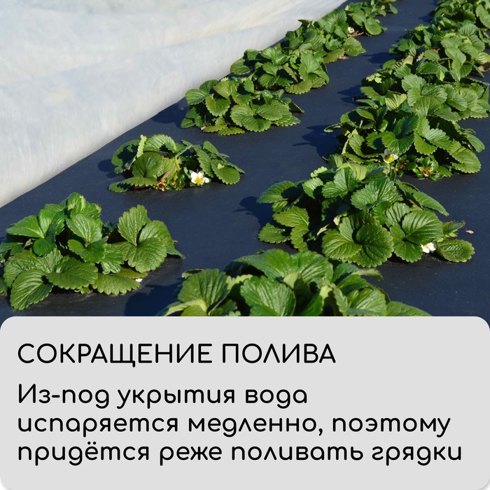 Материал мульчирующий, 10×3.2 м, плотность 60 г/м², спанбонд с УФ-стабилизатором, чёрный, Greengo, Эконом 30%