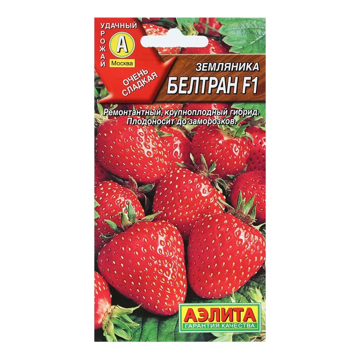 Семена Земляника