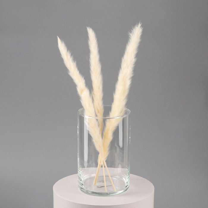 Ваза «Армандс-2», цилиндр, 10×15 см, стекло, прозрачная