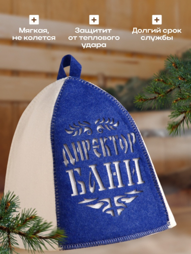 Шапка для бани и сауны, с аппликацией «Директор бани», полиэфир