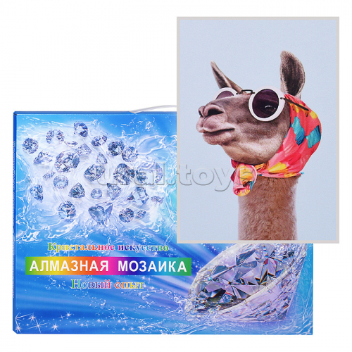 Мозаика 