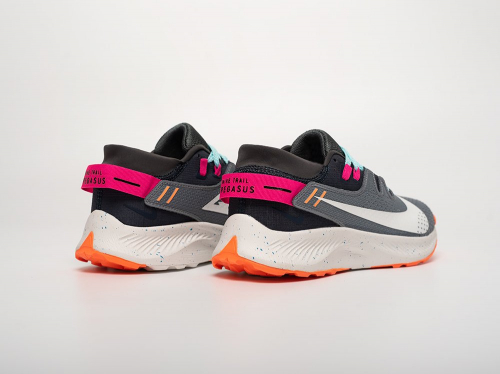 Кроссовки Nike Pegasus Trail 2