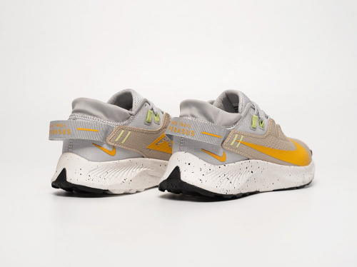 Кроссовки Nike Pegasus Trail 2