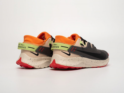 Кроссовки Nike Pegasus Trail 2