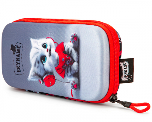 Пенал жесткий SkyName P-520