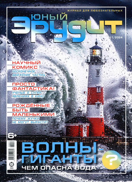 ж-л Юный Эрудит 11/24