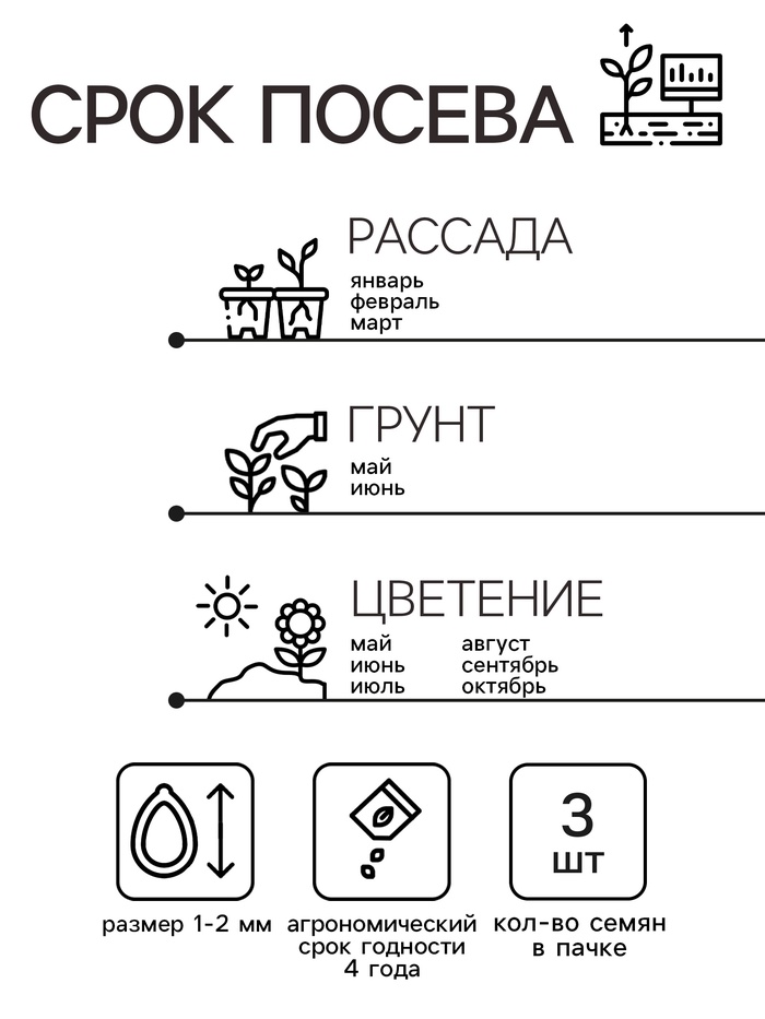 Семена Пеларгония