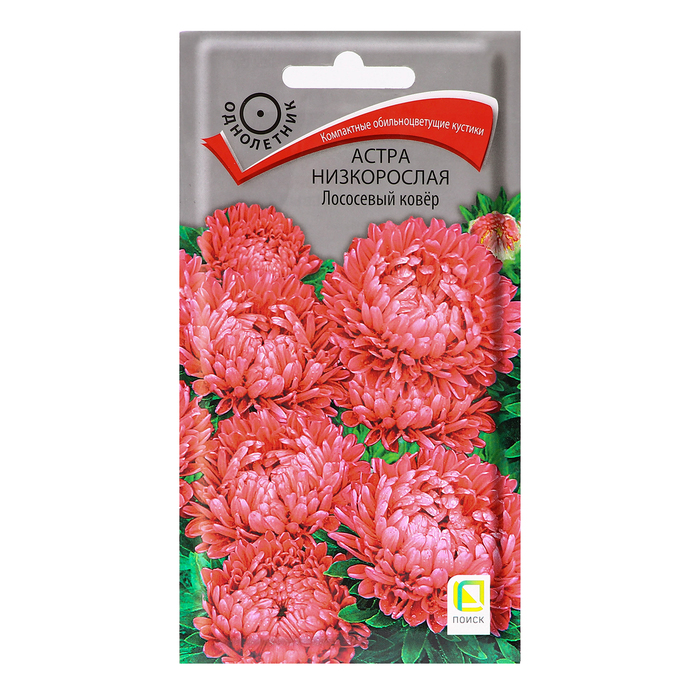 Семена цветов Астра низкорослая