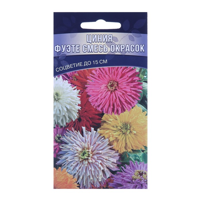 Семена цветов Цинния кактусовидная махровая