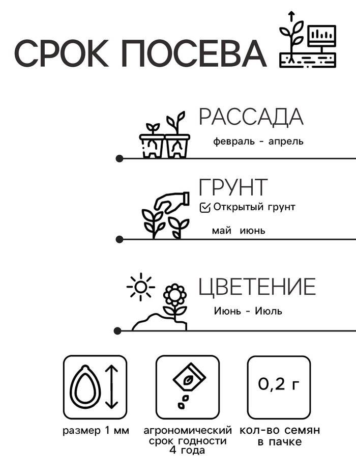 Семена цветов Астра низкорослая