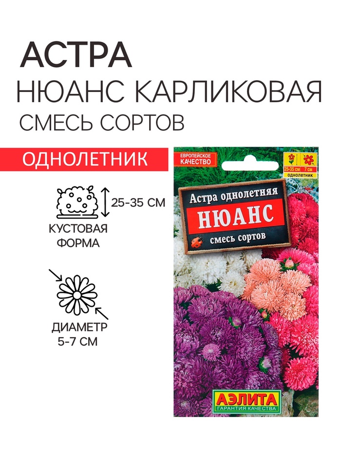 Семена Астра Нюанс карликовая, смесь сортов Одн Ц/П 0,2г