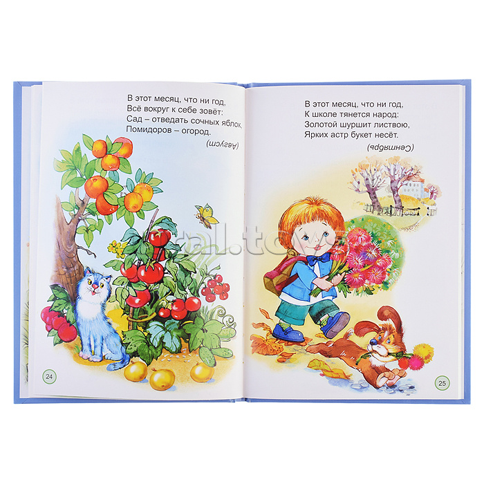 Книги.Весёлая карусель (Стихи для малышей)