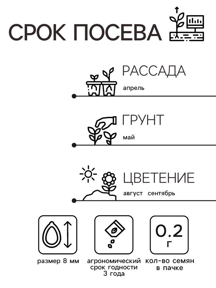 Семена Астра Нюанс карликовая, смесь сортов Одн Ц/П 0,2г