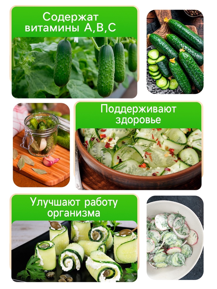 Семена огурца