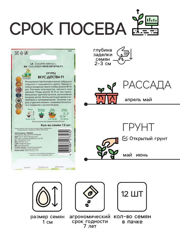 Семена Огурец