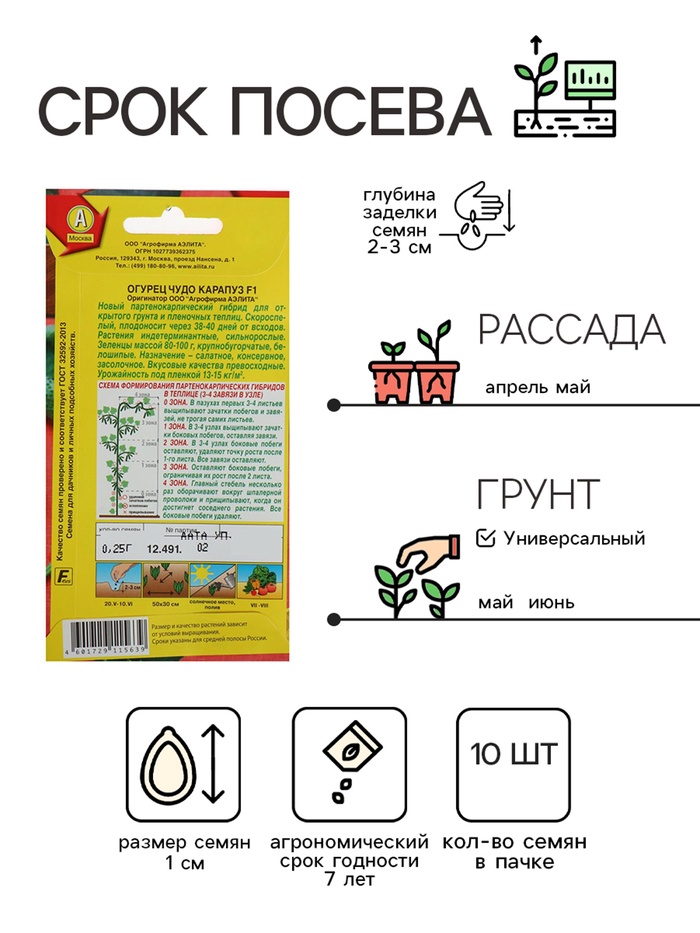 Семена Огурец