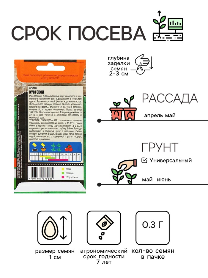 Семена Огурец