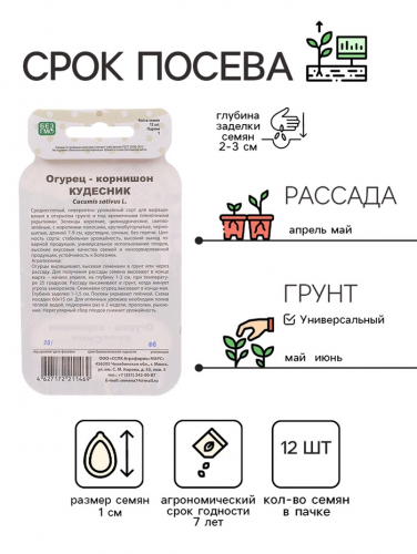 Семена Огурец 
