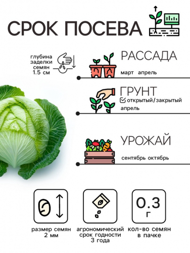 Семена Капуста белокочанная 