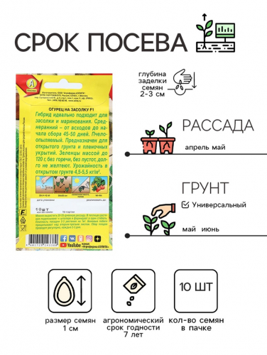 Семена Огурец 