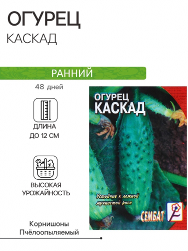 Семена Огурец 