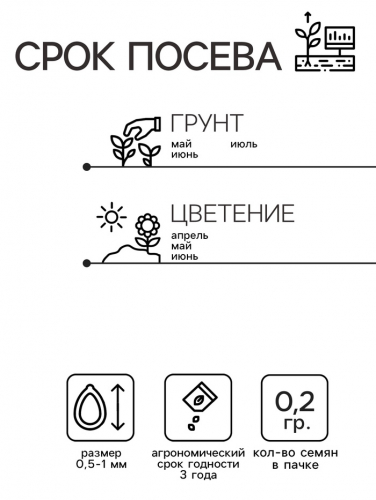 Семена цветов Незабудка 