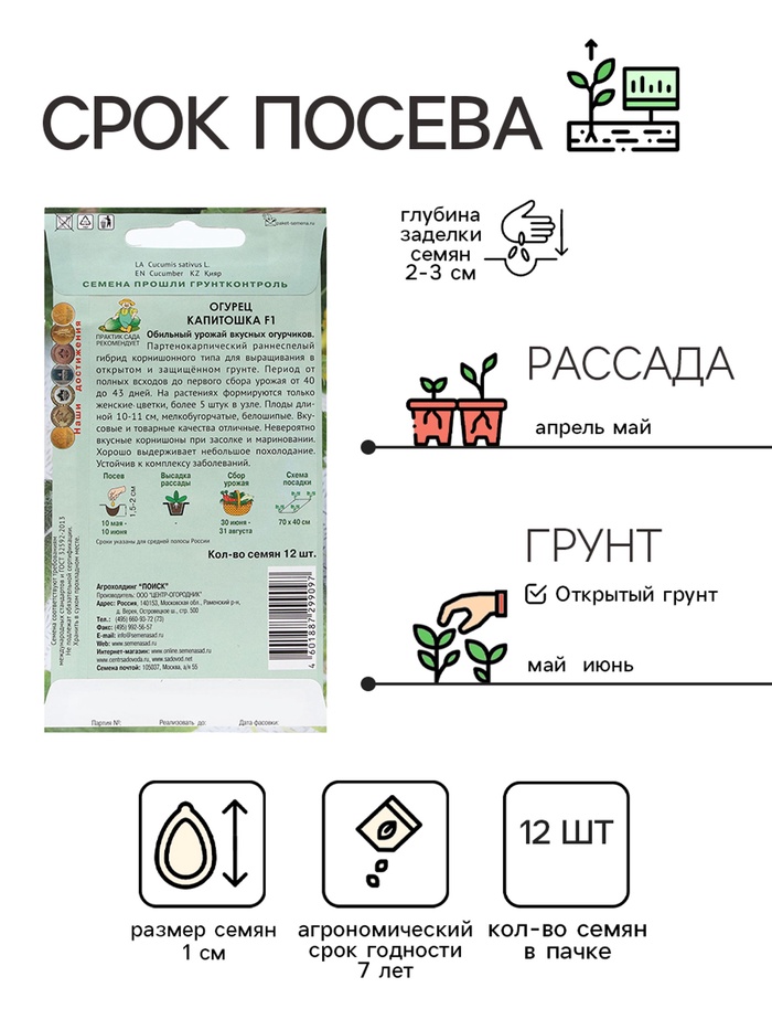 Семена Огурец