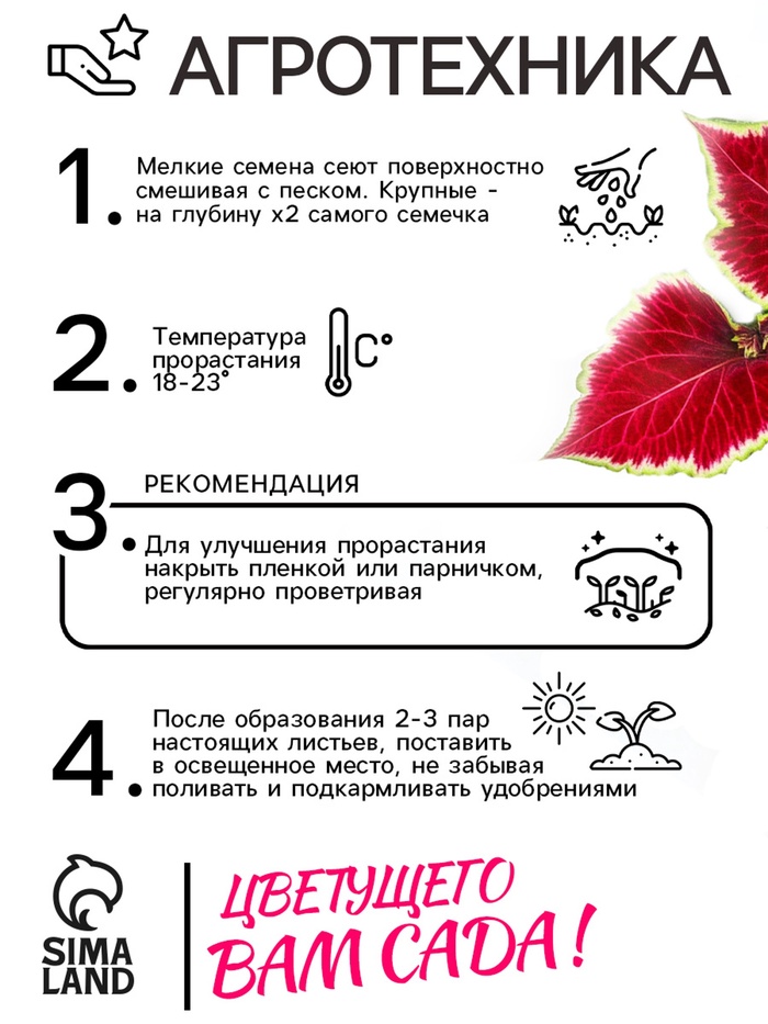 Семена цветов Колеус