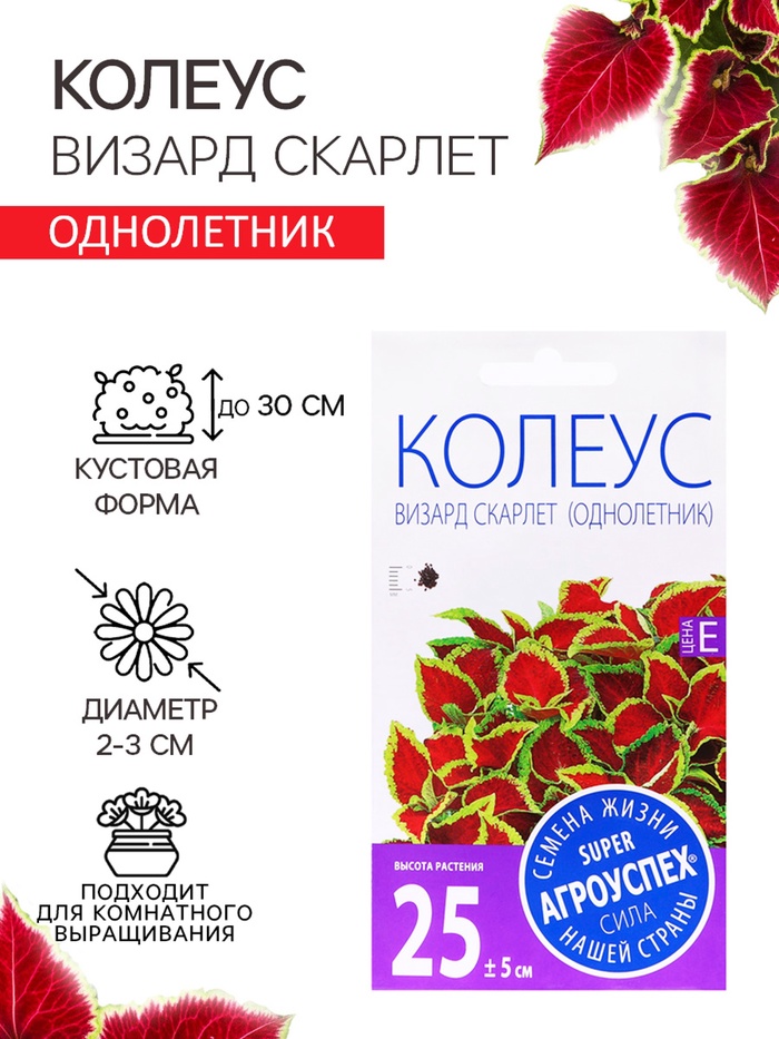 Семена цветов Колеус