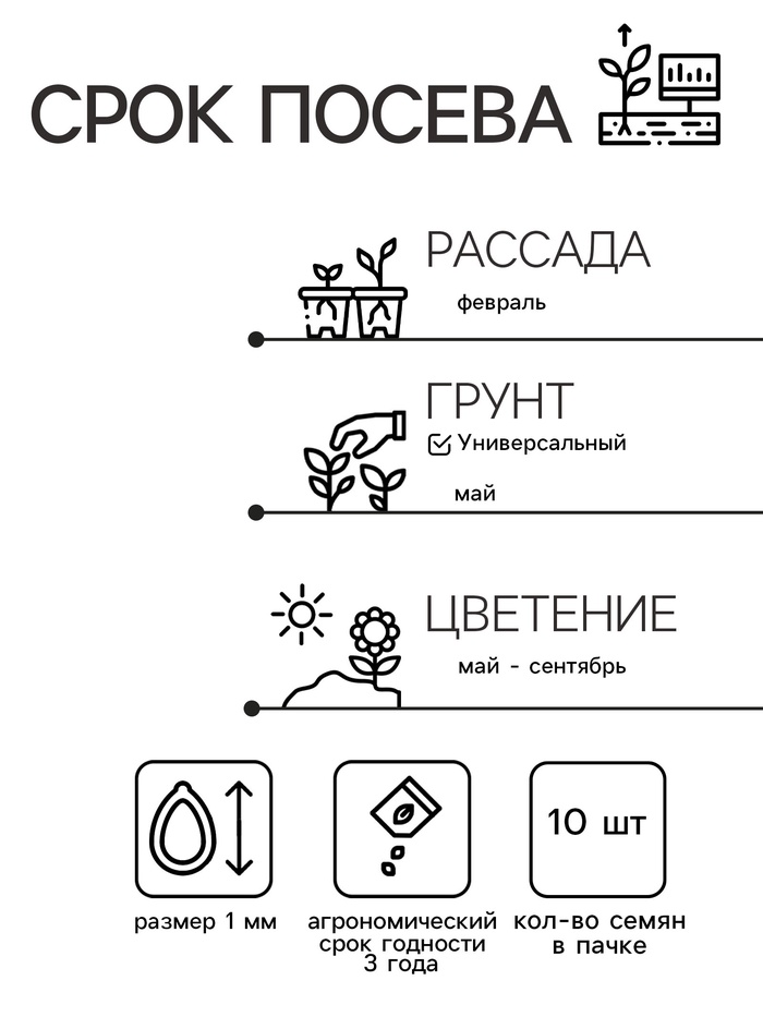 Семена цветов Колеус блюме