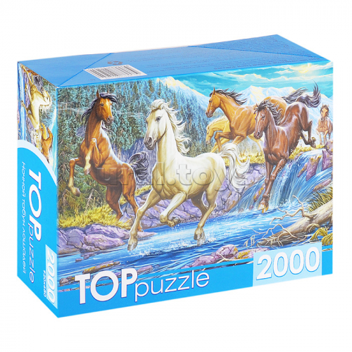 Пазлы 2000 TOPpuzzle 