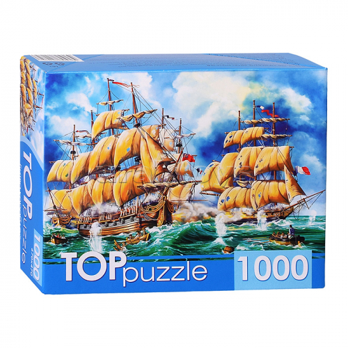 Пазлы 1000 TOPpuzzle 