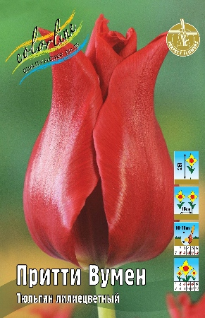 Тюльпан Притти Вумен (В упаковке 10 шт.)