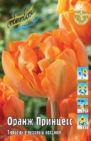 Тюльпан Оранж Принцесс (В упаковке 8 шт.)