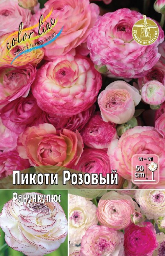 Ранункулюс Пикоти Розовый (В упаковке 10 шт.)