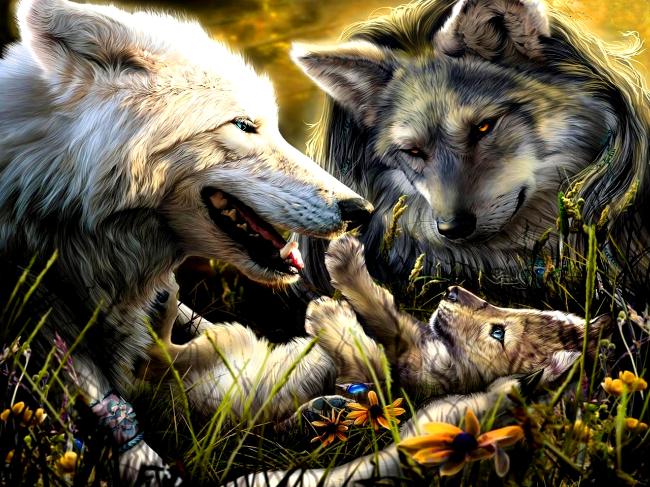 Волки самец и самка арт