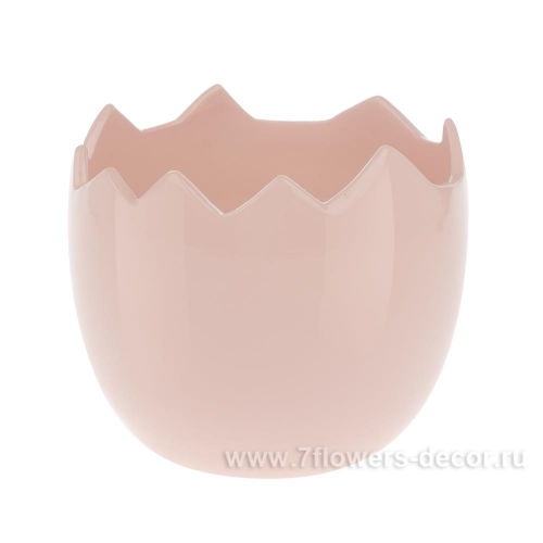 яйца в цветочном горшке. кашпо яйцо керамика. кашпо яйцо керамика. кашпо яйцо скорлупа. кашпо яйцо.