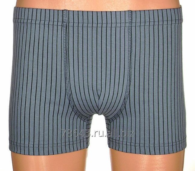 трусы мужские Л 401 модель 13