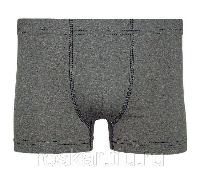 трусы мужские М 301 модель 13