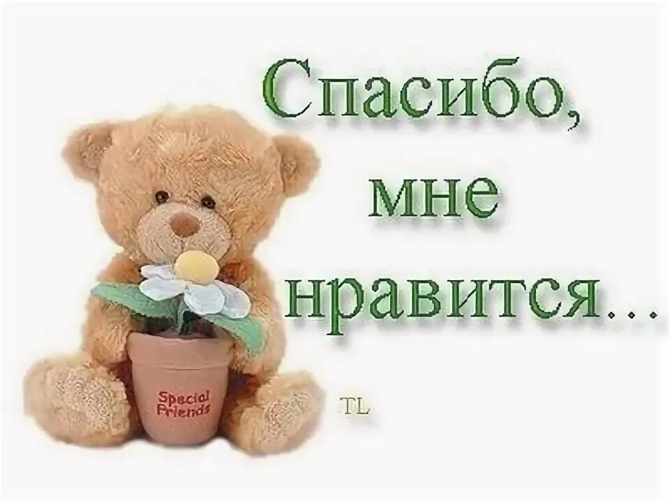 Спасибо Мне Понравилось