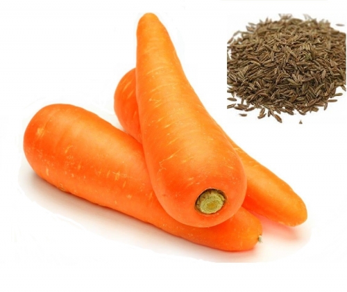 Гидролат Моркови (семян)