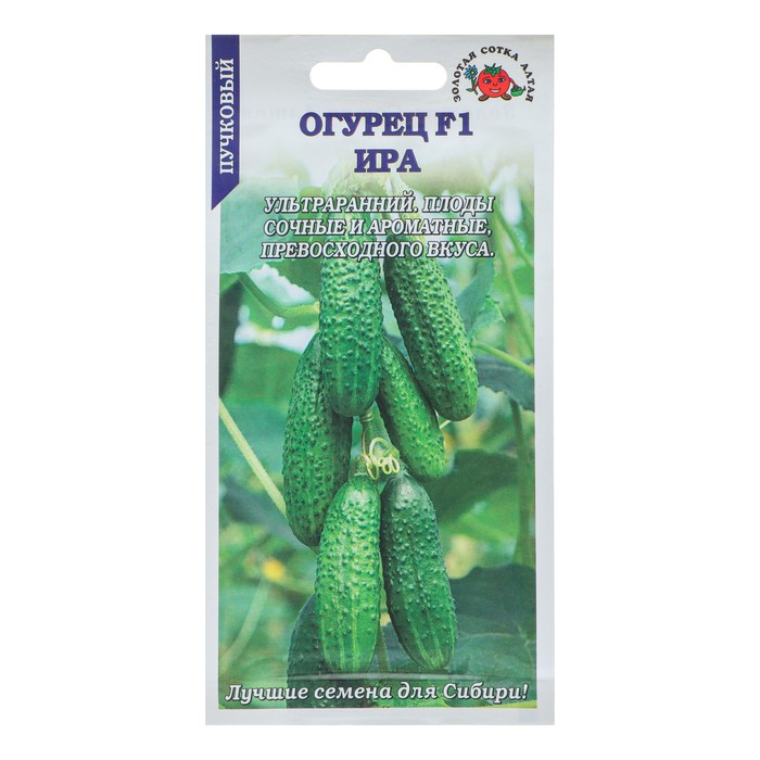 Семена Огурец