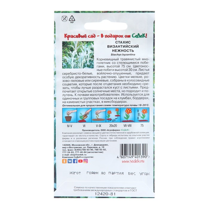 Семена цветов Стахис «Нежность», 0.1 г, «СеДеК»