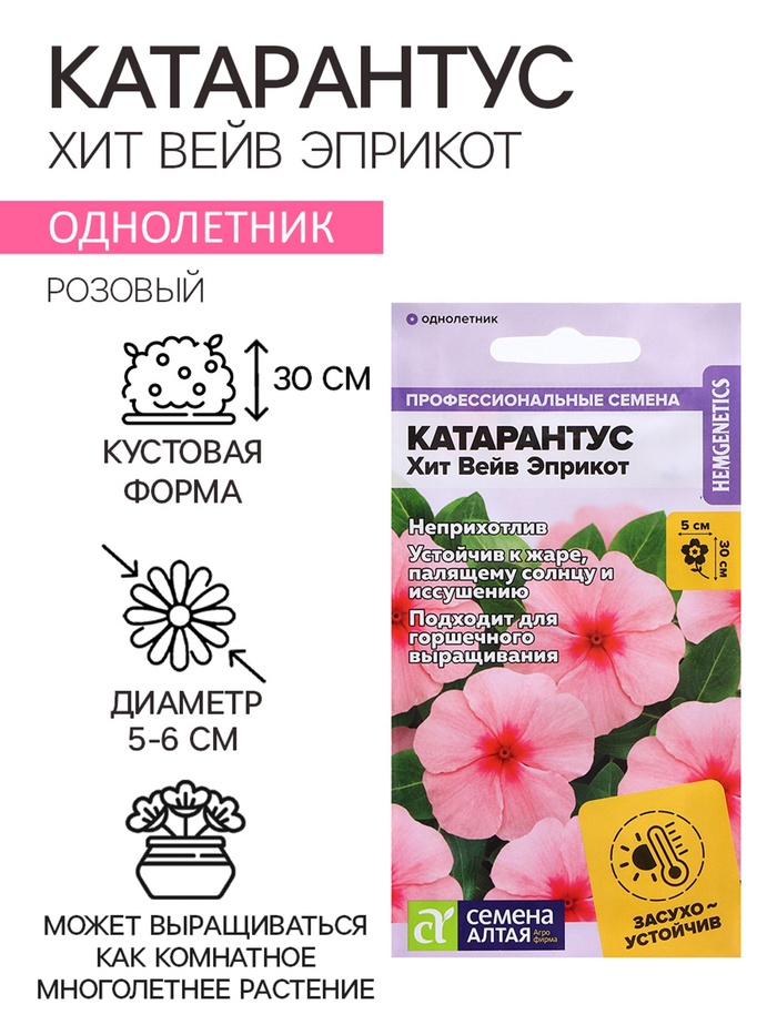 Семена Катарантус