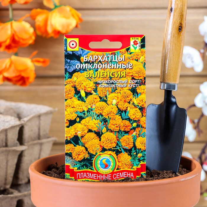 Семена Бархатцы низкорослые